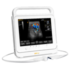12mhz Hewan Ultrasound Scanner Handheld Veterinary Medical Supplies Array Cembung