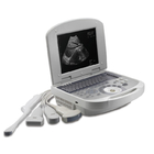 40mm Mesin Ultrasound Anjing Vagina Probe Perlengkapan Medis Hewan Laptop Digital