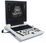 Sistem Ultrasound Hewan 2mm 2-12mhz Hewan Peliharaan Hewan Ternak