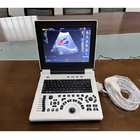 Sistem Ultrasound Hewan 2mm 2-12mhz Hewan Peliharaan Hewan Ternak